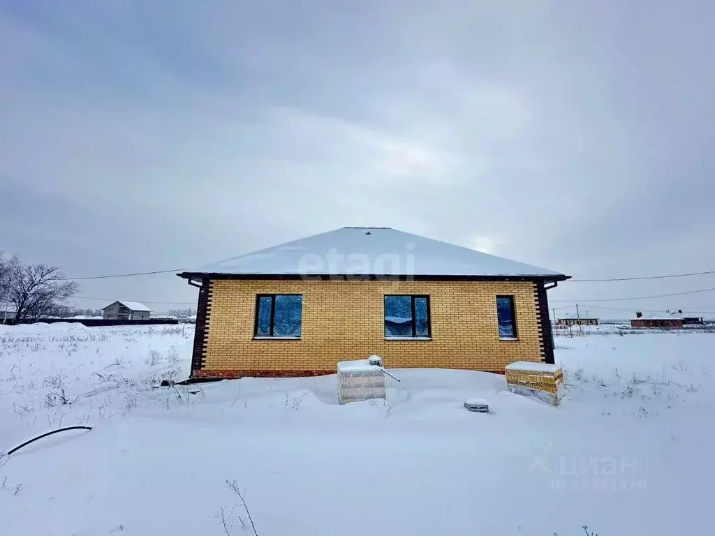 Дом в Ульяновская область, Ульяновск городской округ, с. Лаишевка ул. ... - Фото 1