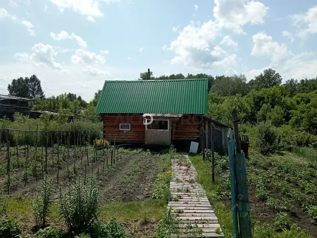 Дом в Алтайский край, Калманский район, с. Зимари Приозерная ул., 9 ... - Фото 2