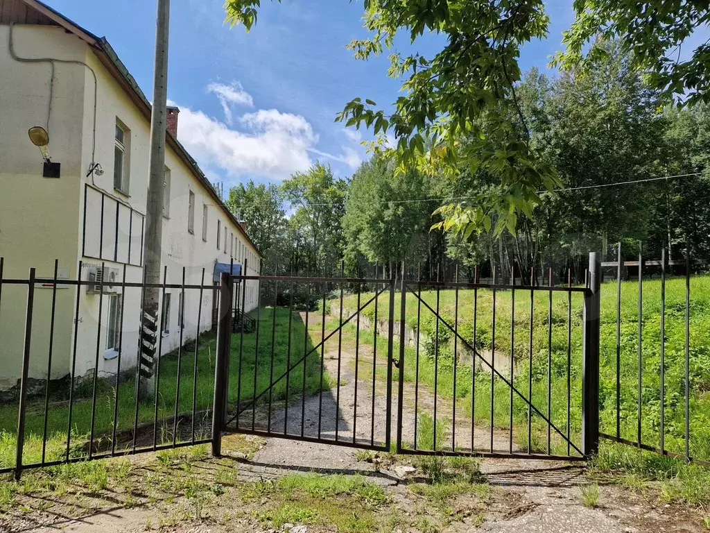 Сдам помещение свободного назначения, 194.8 м - Фото 1