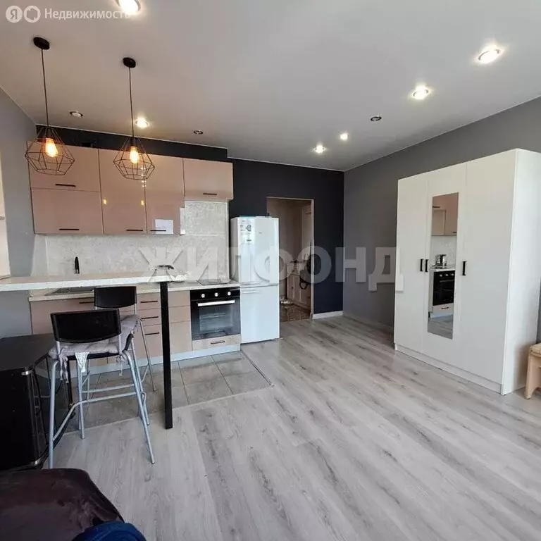 Квартира-студия: Новосибирск, улица Кирова, 236 (28.6 м) - Фото 0