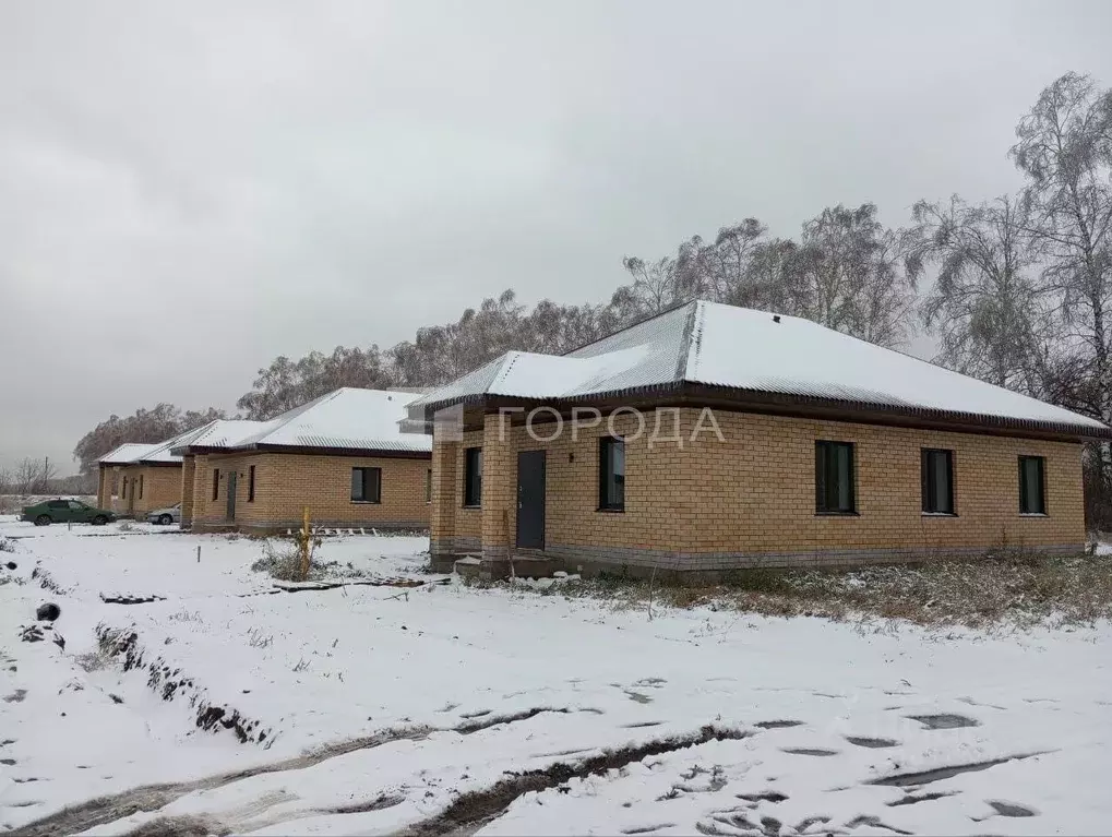 Дом в Алтайский край, Барнаул городской округ, пос. Черницк ул. ... - Фото 0