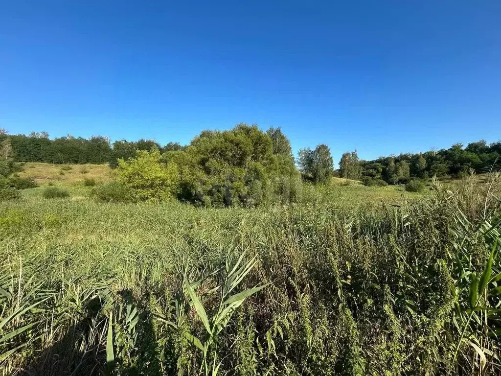 Участок в Белгородская область, Белгородский район, пос. Майский ... - Фото 0