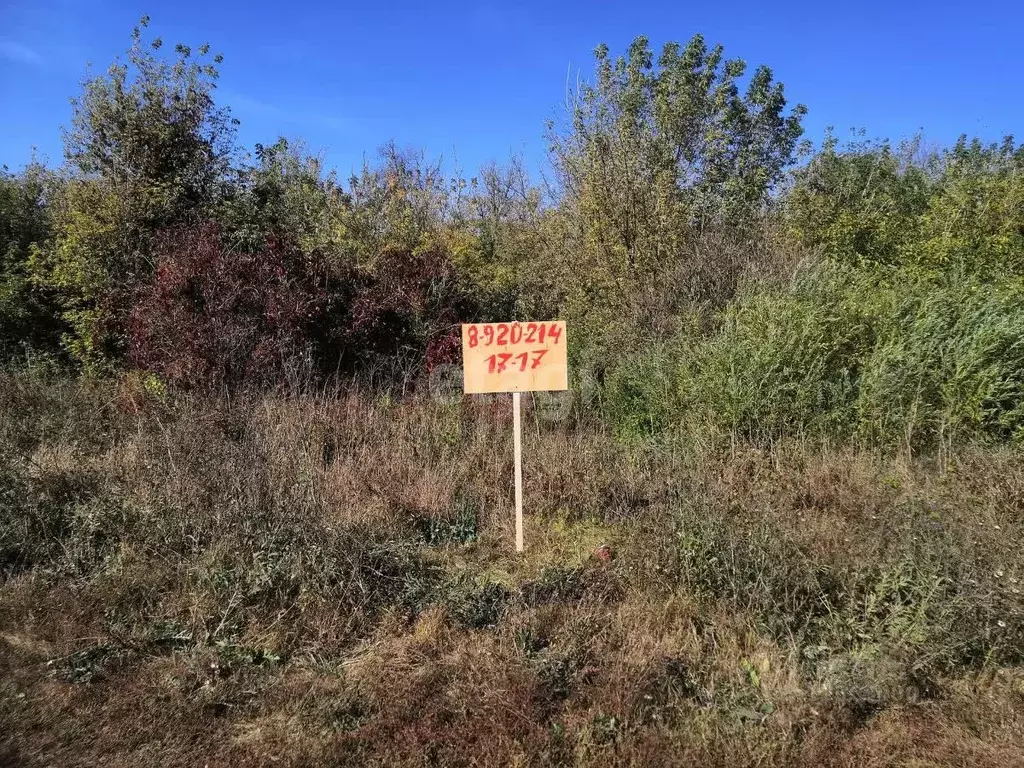 Участок В Медовке Воронеж Купить