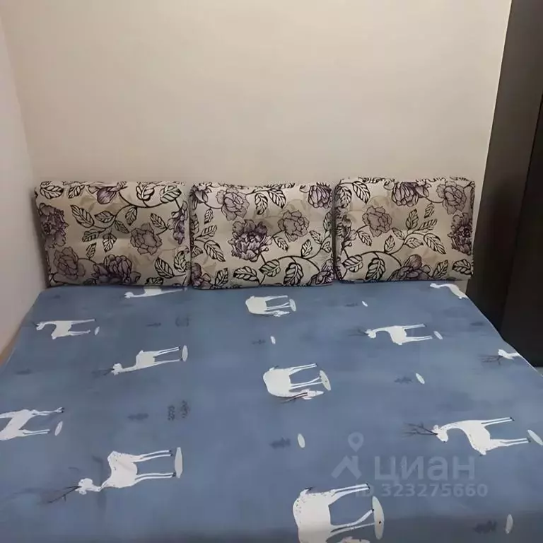 1-к кв. Приморский край, Артем Амурская ул., 24 (20.0 м) - Фото 2