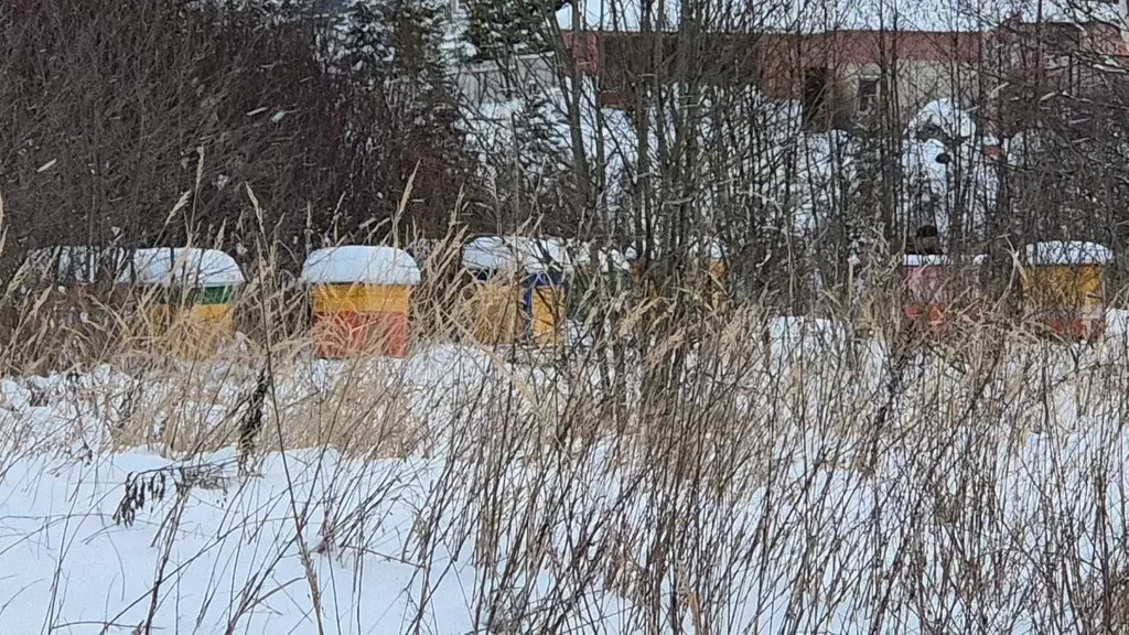 Участок в Московская область, Сергиево-Посадский городской округ, д. ... - Фото 1