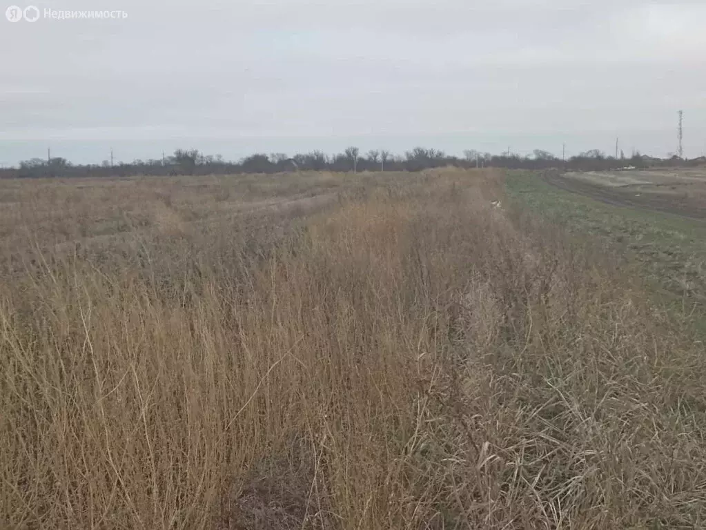 Участок в Краснодарский край, Ейское городское поселение (6.1 м) - Фото 1