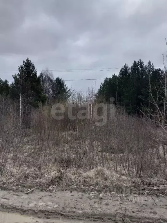 Участок в Свердловская область, Белоярский муниципальный округ, пос. ... - Фото 2