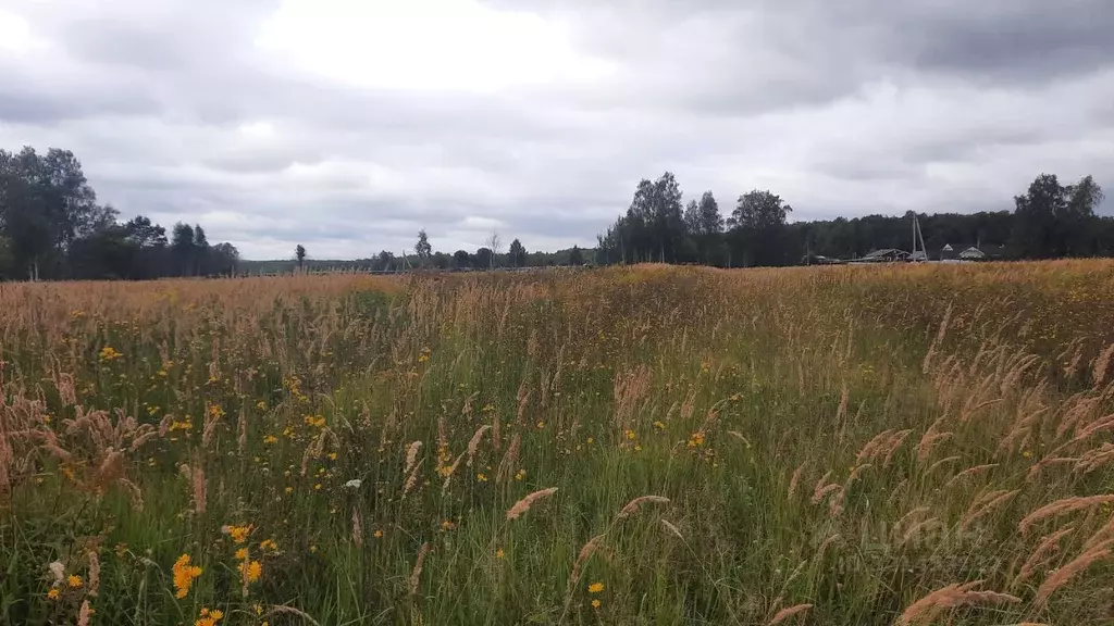 Участок в Тульская область, Тула городской округ, д. Страхово проезд ... - Фото 1