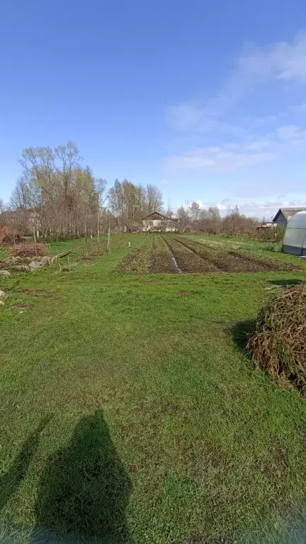 Участок в Новгородская область, Старорусский район, Великосельское ... - Фото 0