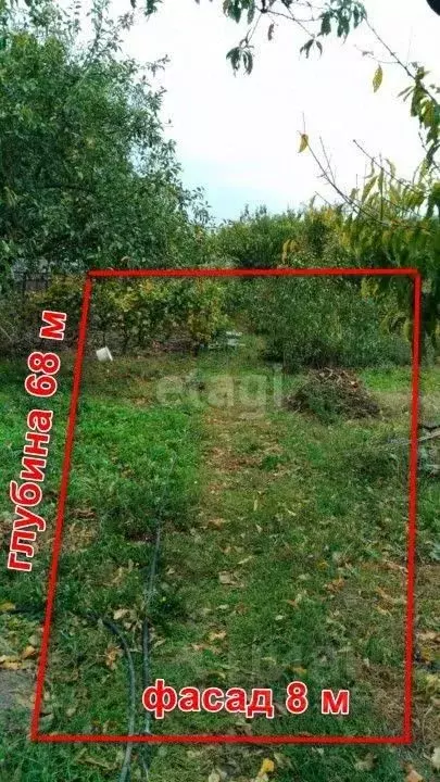 Участок в Краснодарский край, Анапа Алексеевка мкр, ул. Садовая (5.5 ... - Фото 0