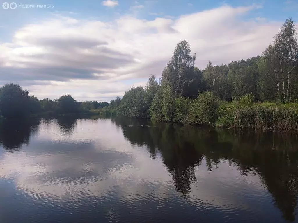 Участок в Московская область, городской округ Истра, квартал дачной ... - Фото 0