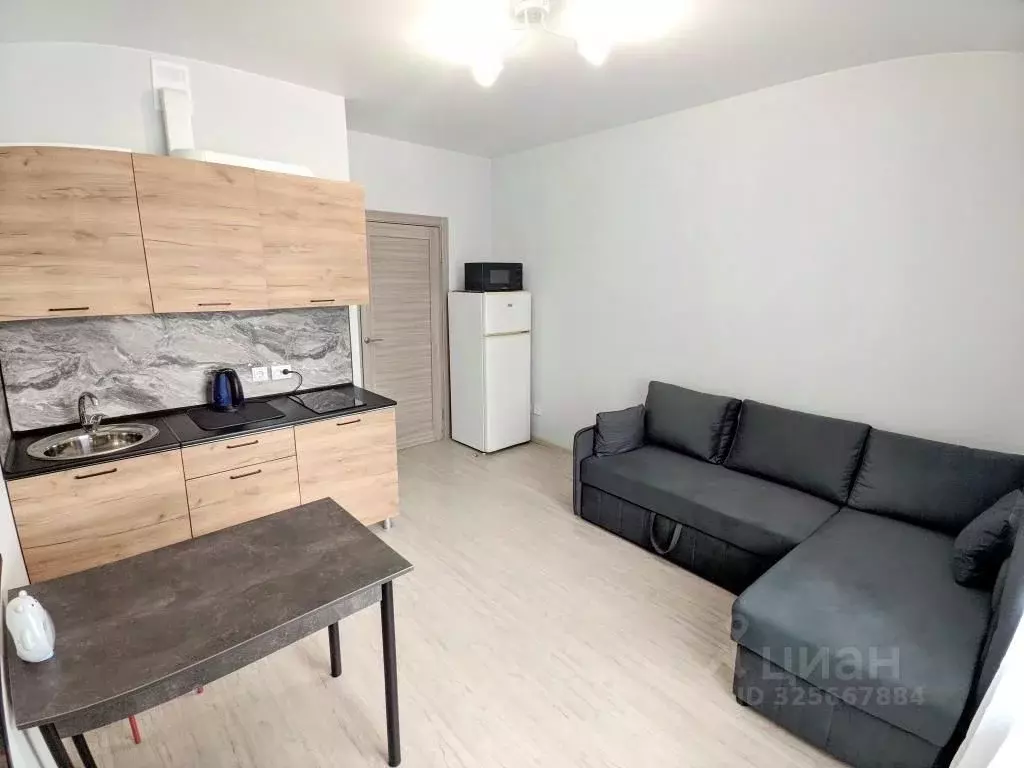 Студия Санкт-Петербург пос. Шушары, просп. Старорусский, 5к1 (20.0 м) - Фото 2