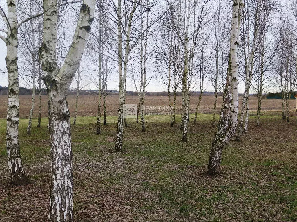 Продается участок в с. Знаменское - Фото 2