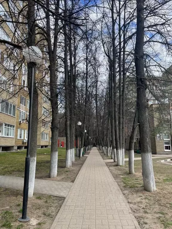 Квартира, 1 комната, 46 м - Фото 1