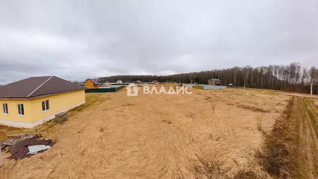 Участок в Владимирская область, Собинский муниципальный округ, с. ... - Фото 2