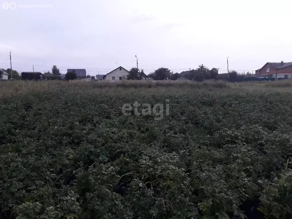 Участок в село Лямбирь, Октябрьская улица (16.3 м) - Фото 1