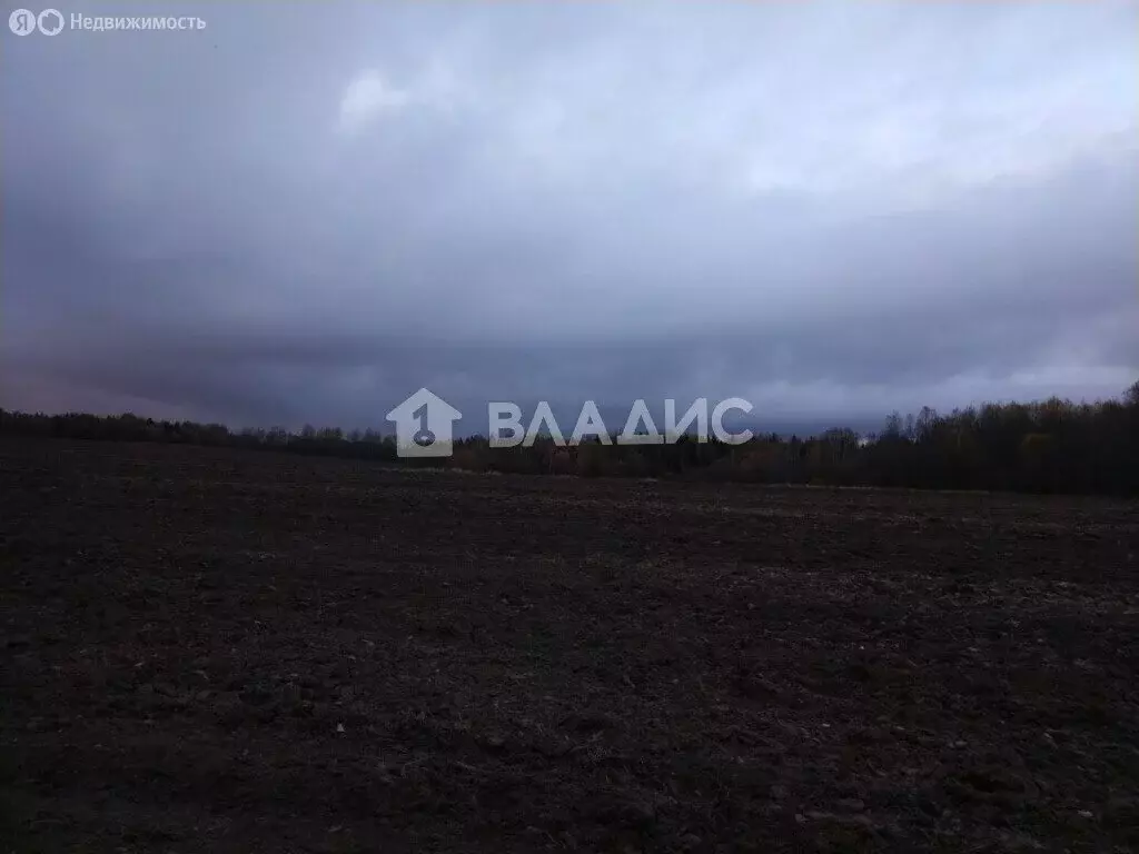 Участок в Вологодский муниципальный округ, деревня Пыхмарево (10 м) - Фото 1