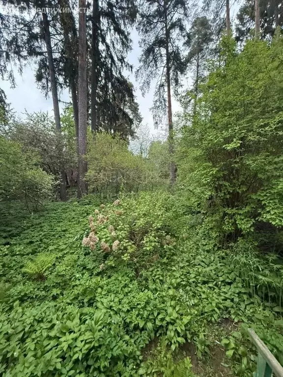 Участок в деревня Алабино, Школьная улица (16 м) - Фото 1