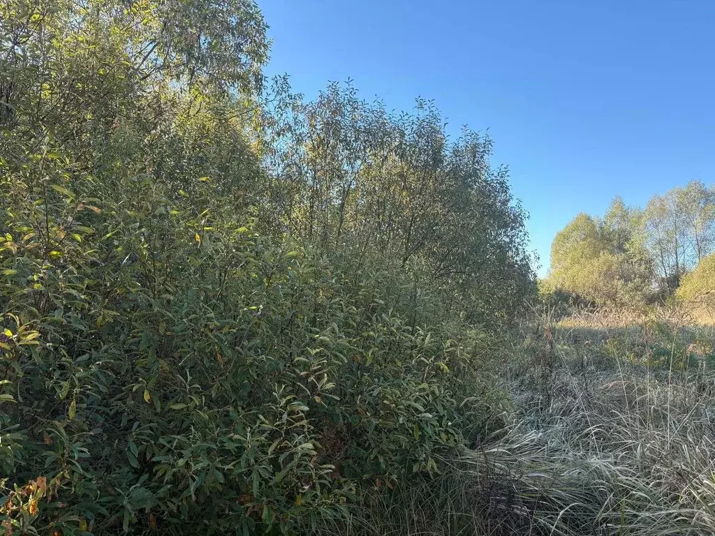 Участок в Московская область, Воскресенск городской округ, Имени ... - Фото 1