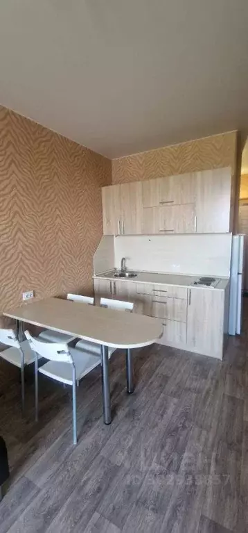 Студия Алтайский край, Барнаул ул. Юрина, 180д (23.1 м) - Фото 0