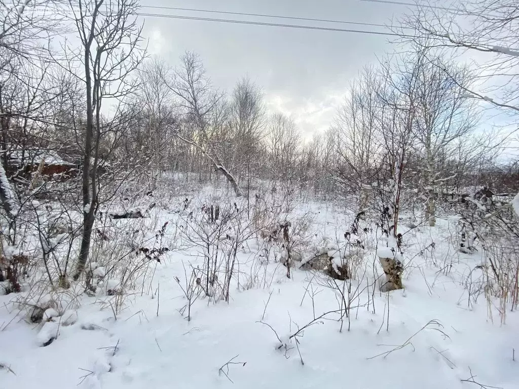 Участок в Камчатский край, Елизовский муниципальный округ, ... - Фото 2