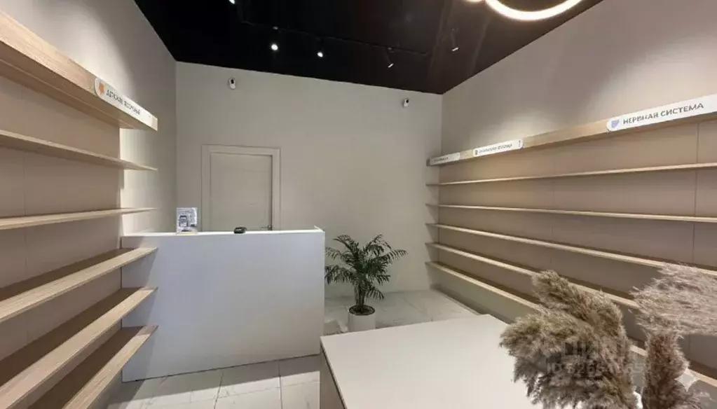 Помещение свободного назначения в Татарстан, Казань просп. Ибрагимова, ... - Фото 2