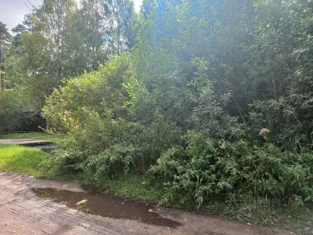 Участок в Ленинградская область, Гатчинский муниципальный округ, ... - Фото 2