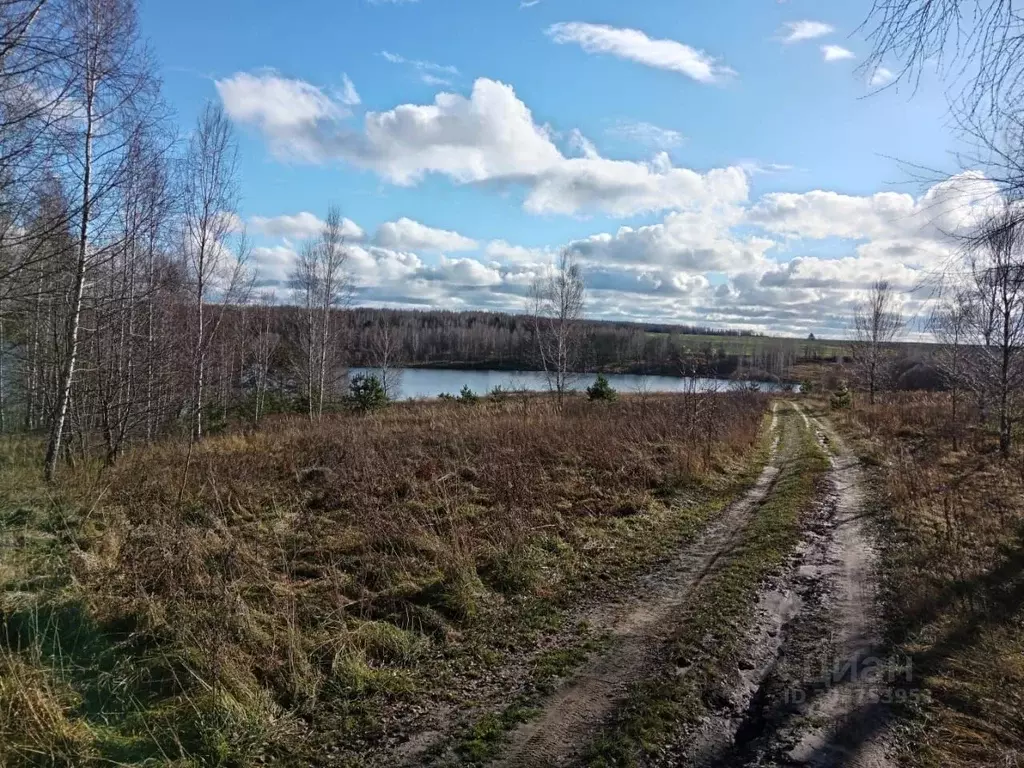 Участок в Брянская область, Жуковский муниципальный округ, д. ... - Фото 1