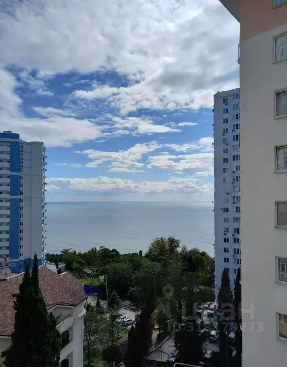 3-к кв. Краснодарский край, Сочи Приморье мкр, ул. Есауленко, 4/6 ... - Фото 1