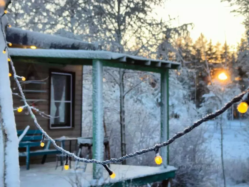 Дом в Ленинградская область, Выборгский район, Первомайское с/пос, ... - Фото 2