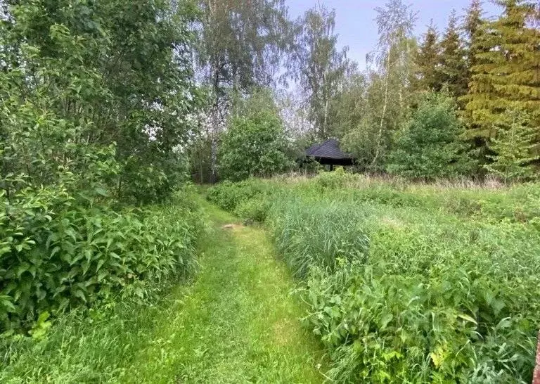 Участок в Московская область, Одинцовский городской округ, с. Усово  ... - Фото 1