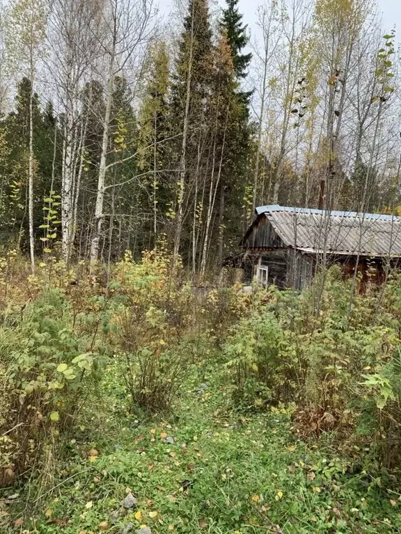 Участок в Ханты-Мансийский АО, Ханты-Мансийск ул. Зырянова, 4 (10.58 ... - Фото 1