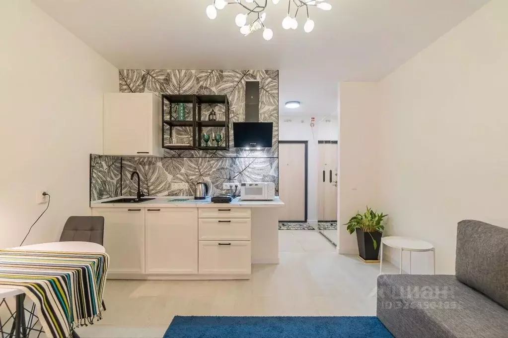 Студия Санкт-Петербург Черниговская ул., 11к1 (23.0 м) - Фото 2