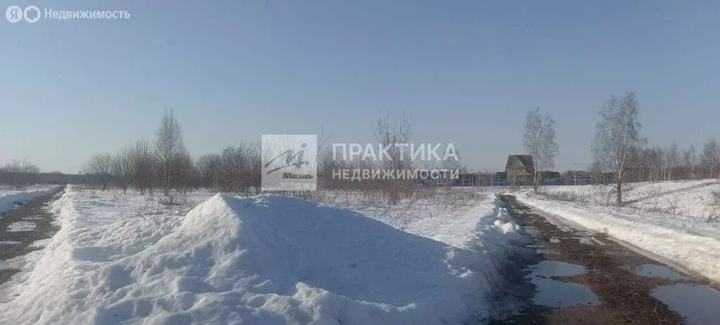 Участок в Московская область, Раменский муниципальный округ (10 м) - Фото 2