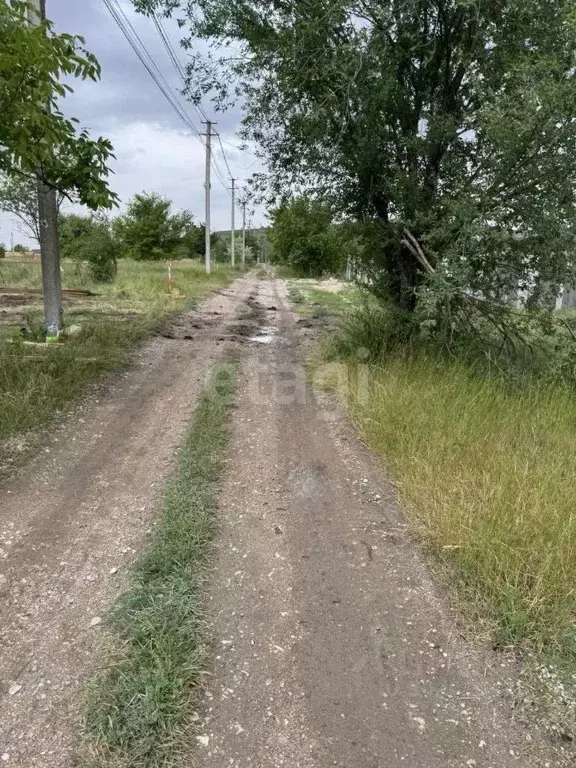 Участок в Крым, Симферопольский район, Чистенское с/пос, Родничок СПК ... - Фото 0