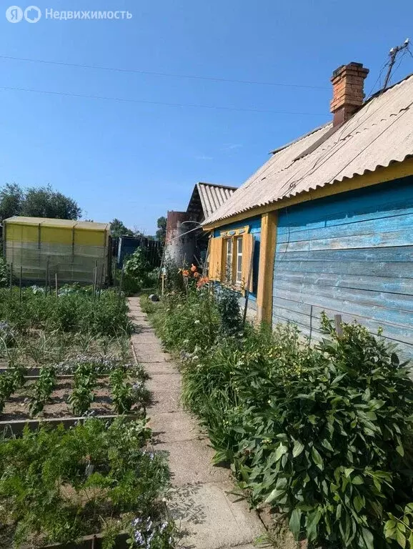 Дом в Зея, Набережная улица, 41А (21.4 м) - Фото 2