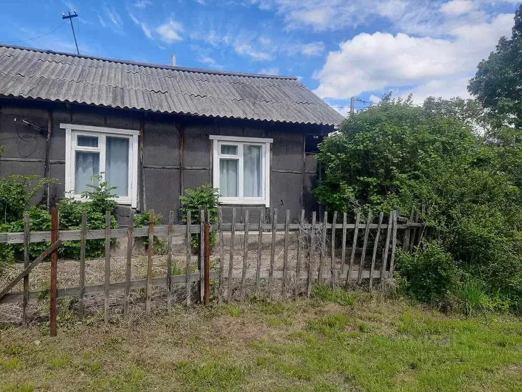 Помещение свободного назначения в Хабаровский край, Хабаровский район, ... - Фото 0