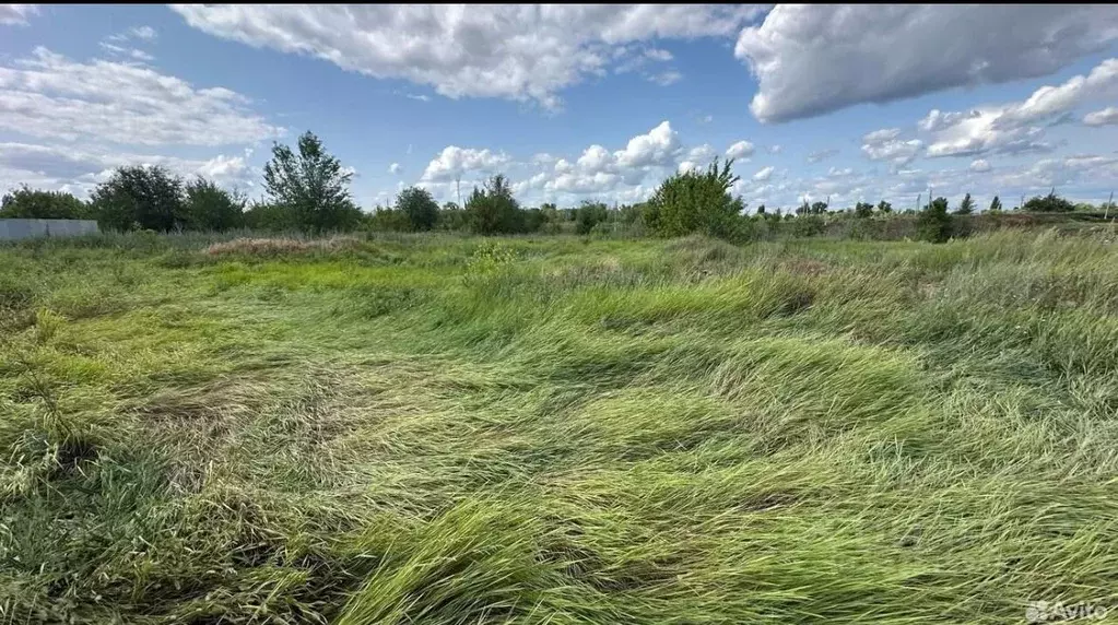 Участок в Саратовская область, Энгельс муниципальное образование, ... - Фото 2
