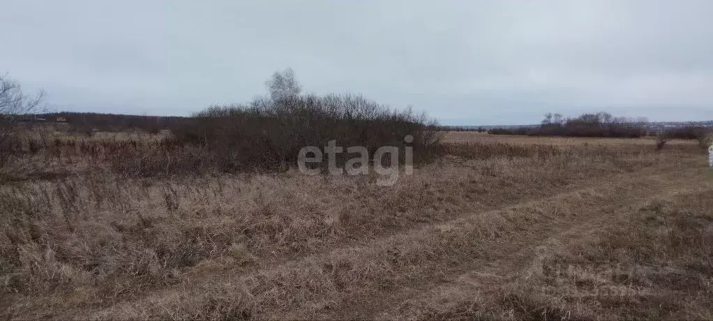 Участок в Воронежская область, Хохольский район, с. Кочетовка ... - Фото 1