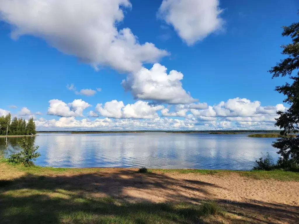 Участок в Санкт-Петербург, Санкт-Петербург, Сестрорецк Дубовая ул., 23 ... - Фото 0