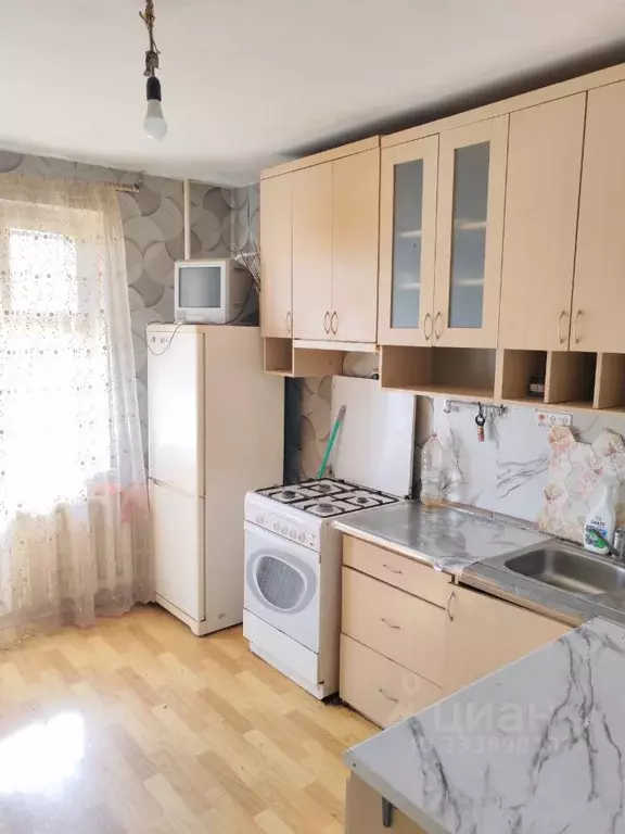 1-к кв. Псковская область, Псковский муниципальный округ, д. Родина ... - Фото 1
