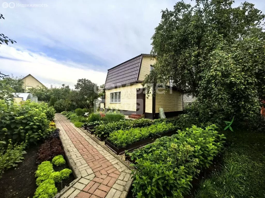 Дом в Брянск (37.7 м) - Фото 2
