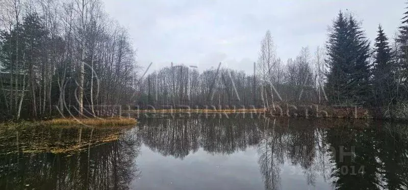 Участок в Ленинградская область, Подпорожский район, Важинское ... - Фото 2