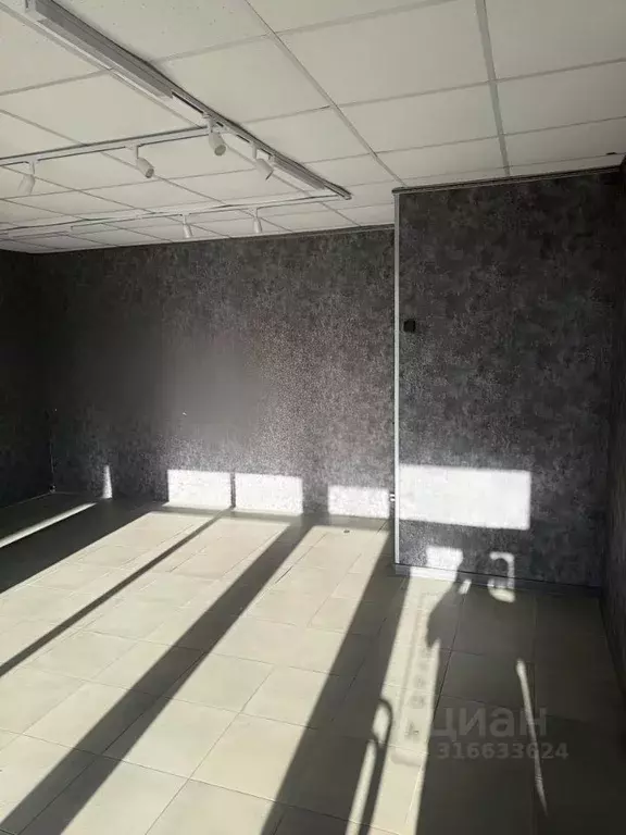 Торговая площадь в Московская область, Королев ул. Марины Цветаевой, ... - Фото 1