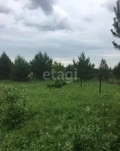 Участок в Башкортостан, Благовещенский район, Николаевский сельсовет, ... - Фото 1