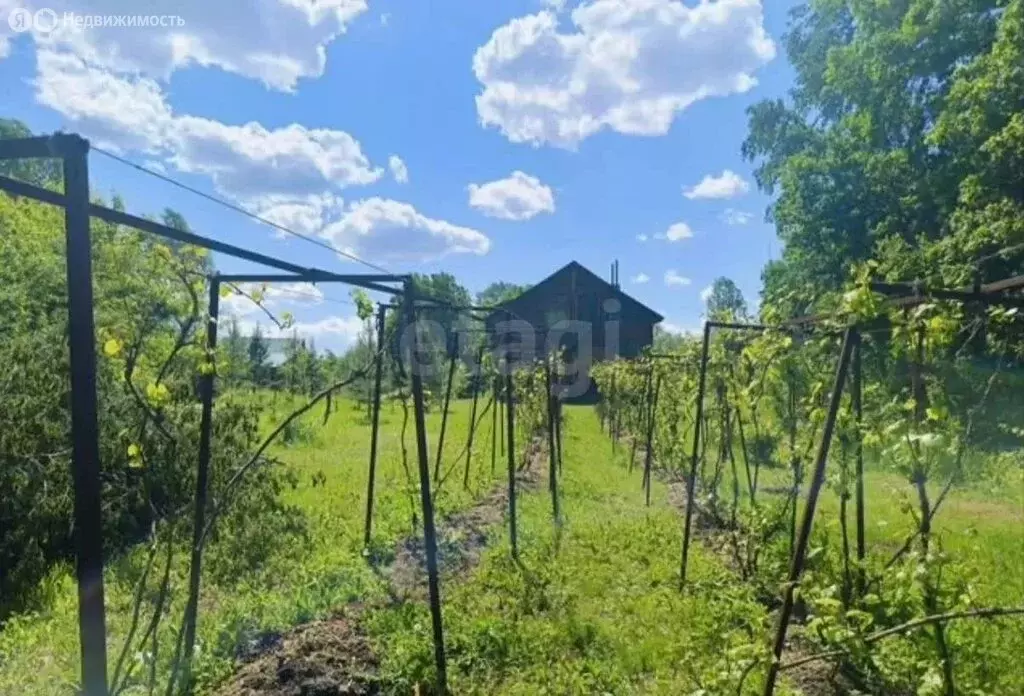 Участок в Гафурийский район, Белоозерский сельсовет, деревня Татарский ... - Фото 2