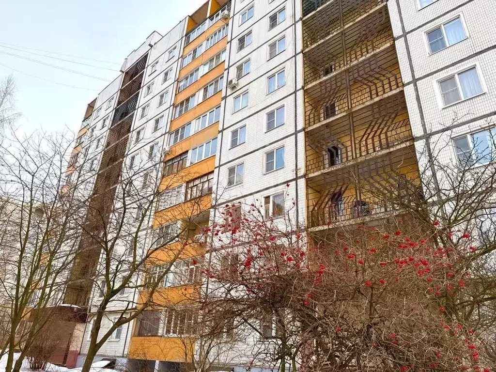 3-к кв. Тамбовская область, Тамбов Астраханская ул., 195к1 (65.9 м) - Фото 1