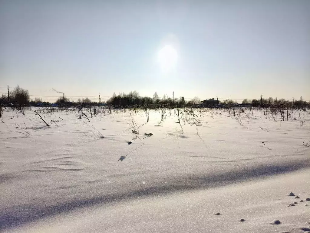 Участок в Московская область, Талдомский городской округ, д. Юркино 52 ... - Фото 1