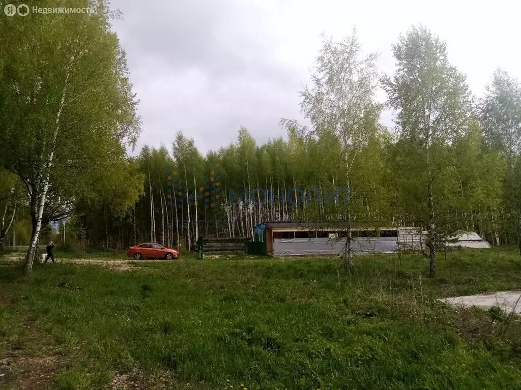 Участок в Нижегородская область, Городецкий муниципальный округ, ... - Фото 2