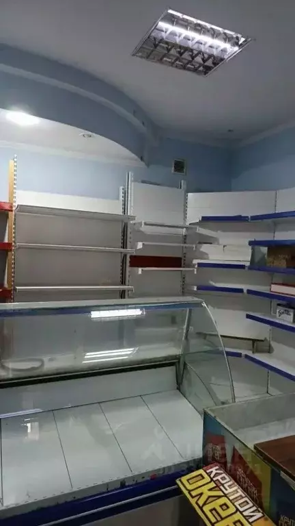 Помещение свободного назначения в Краснодарский край, Ейск Красная ... - Фото 1
